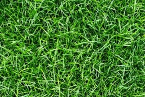 Gras als valdempende ondergrond